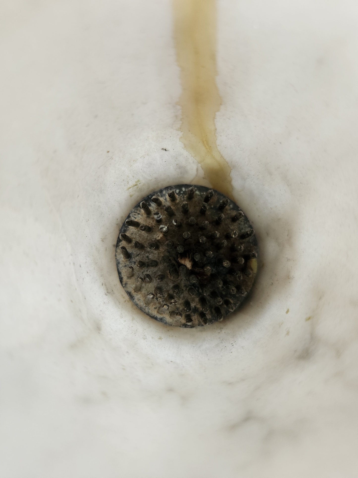 Bowerbird Cottage Marble Vase Small w/ frog