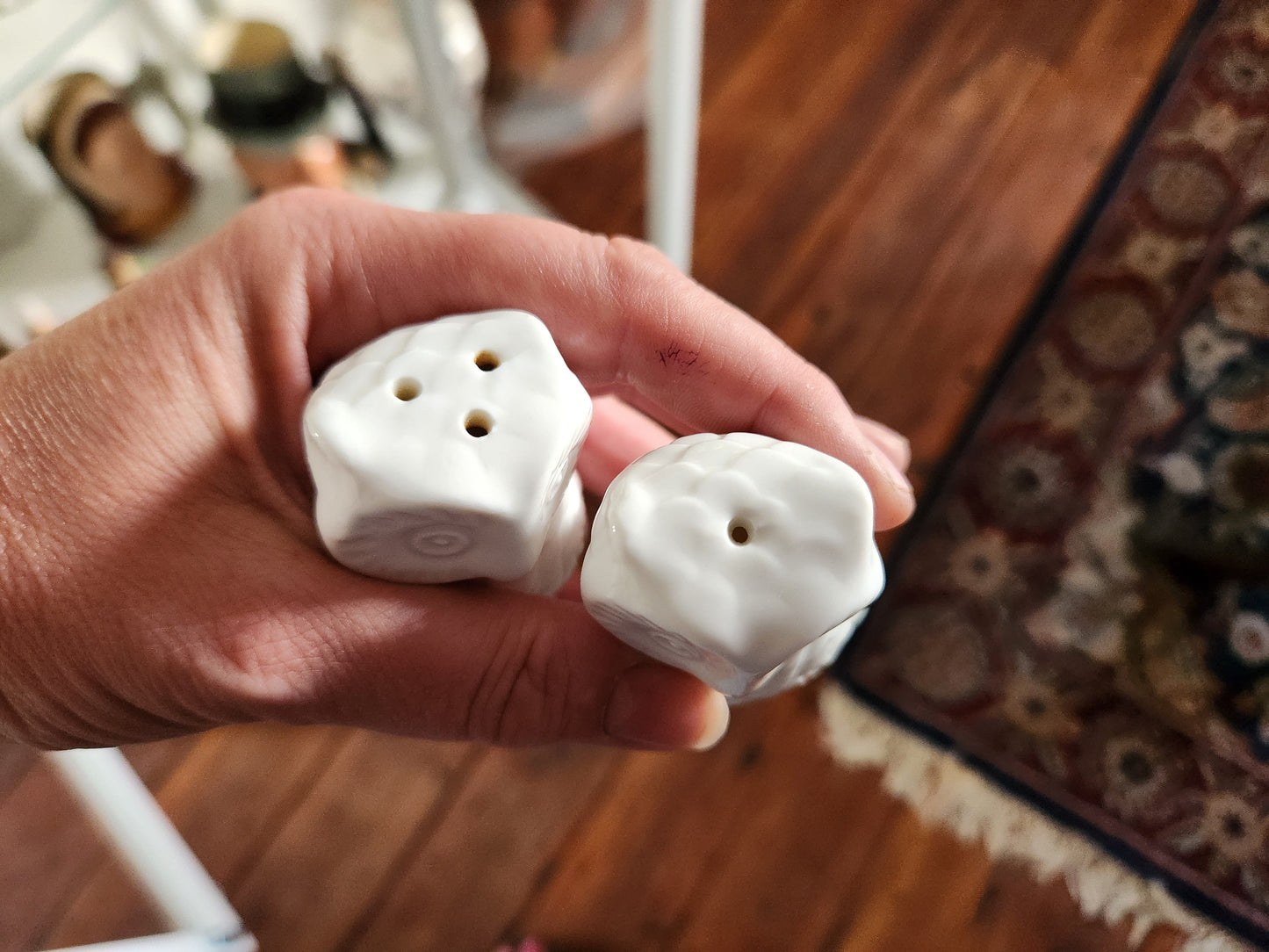 Bowerbird Cottage Owl Salt & Pepper Shakers