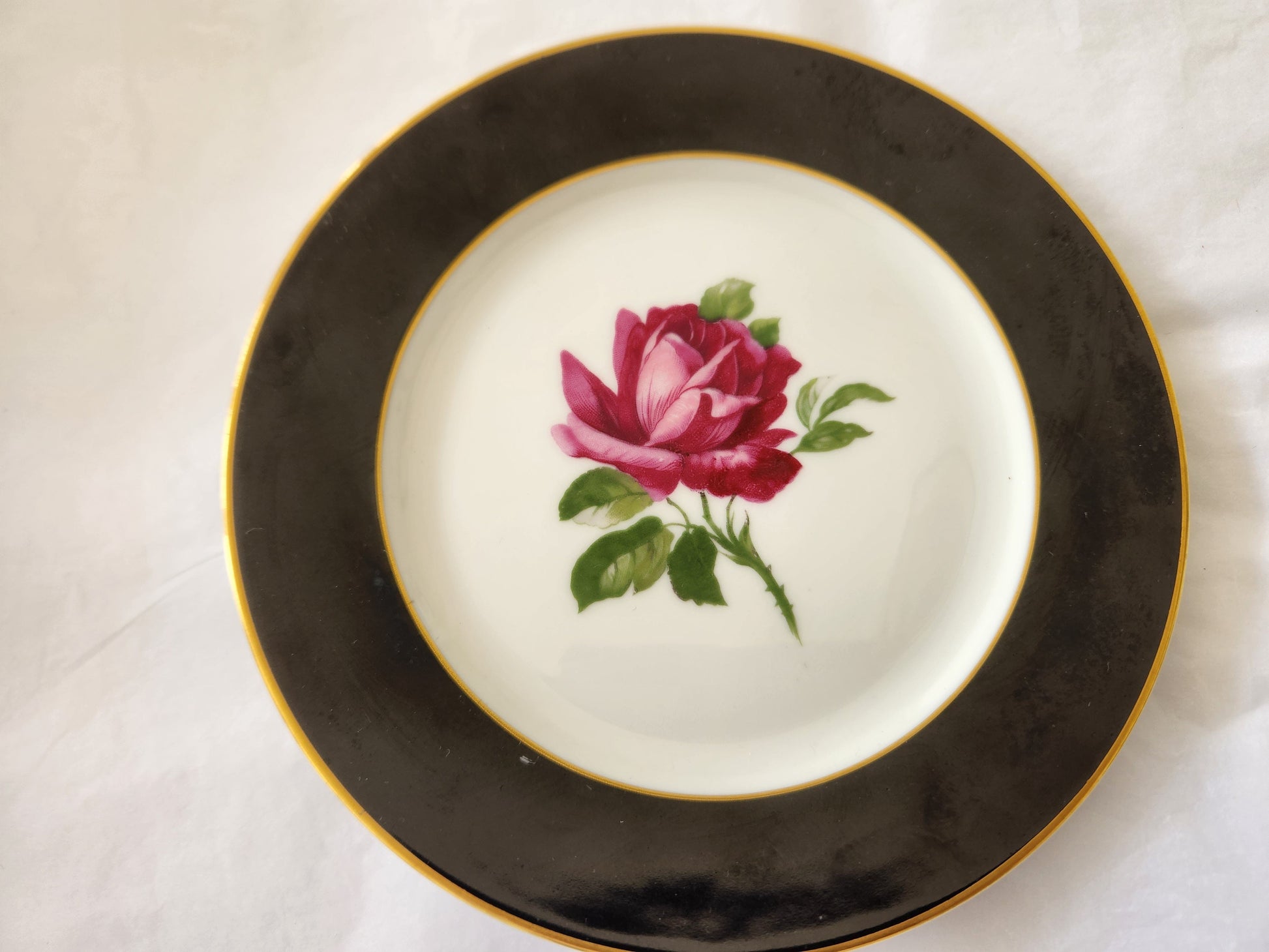 Bowerbird Cottage  Side Plate & Saucer (Adderley Rose)