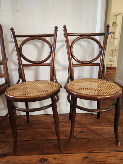 Bowerbird Cottage  Wicker Dining Chair (Pair)