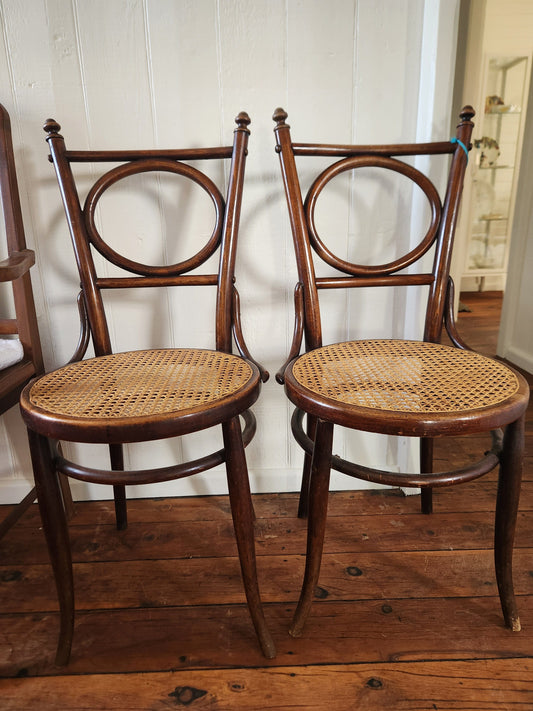 Bowerbird Cottage  Wicker Dining Chair (Pair)